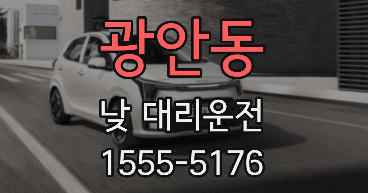광안동 낮 대리운전