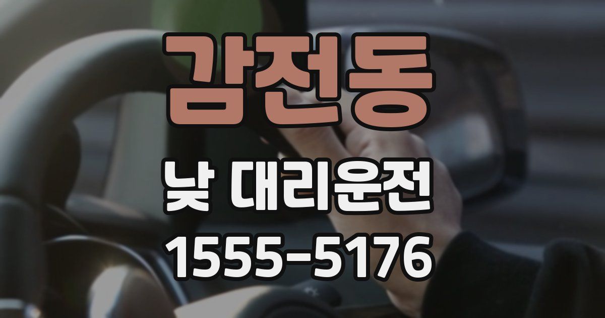 감전동 낮 대리운전