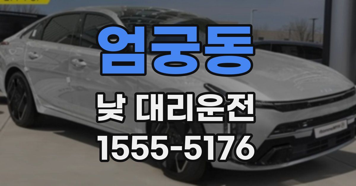 엄궁동 낮 대리운전
