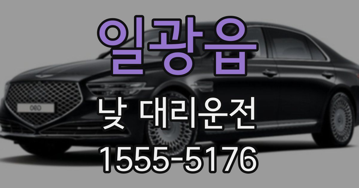 일광읍 낮 대리운전