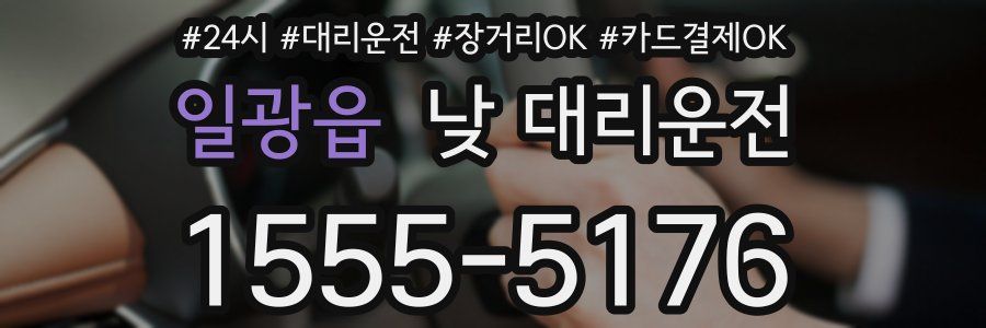 일광읍 낮 대리운전