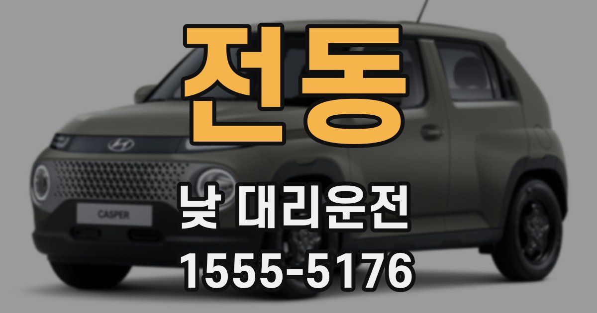 전동 낮 대리운전