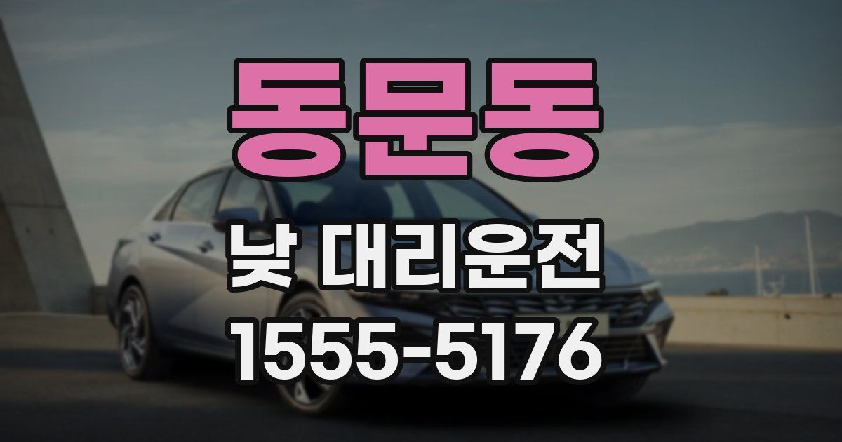 동문동 낮 대리운전