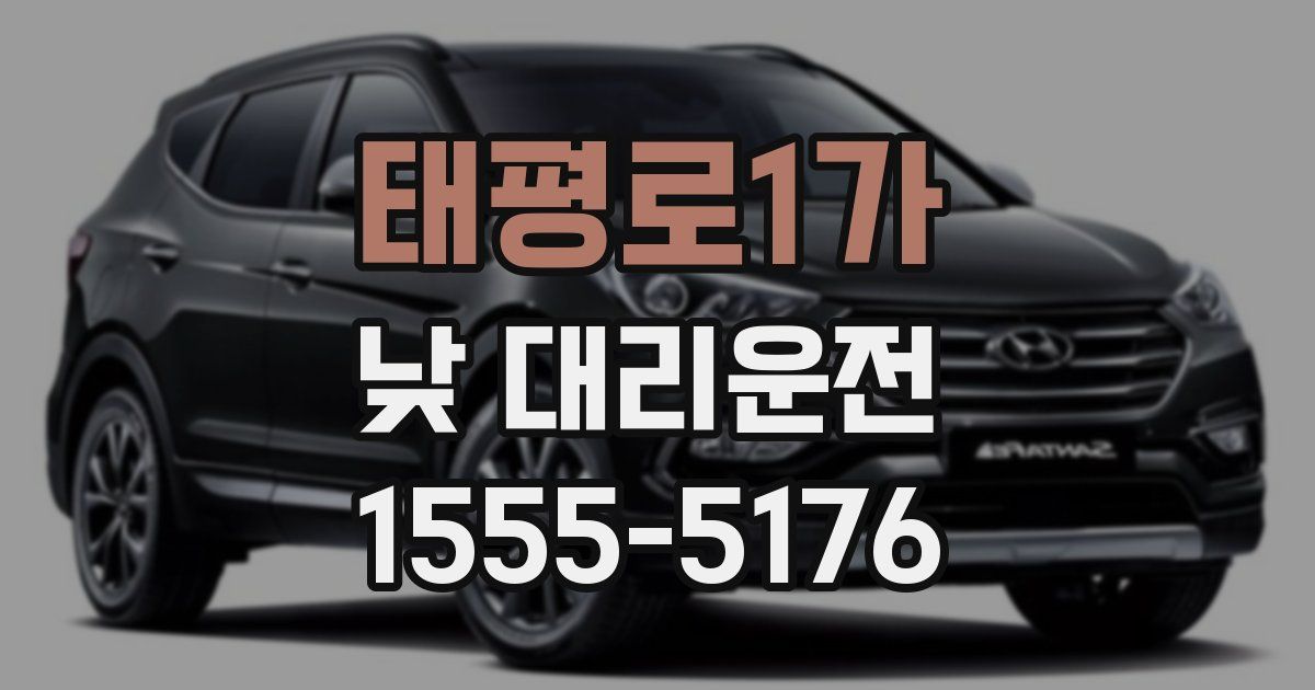 태평로1가 낮 대리운전