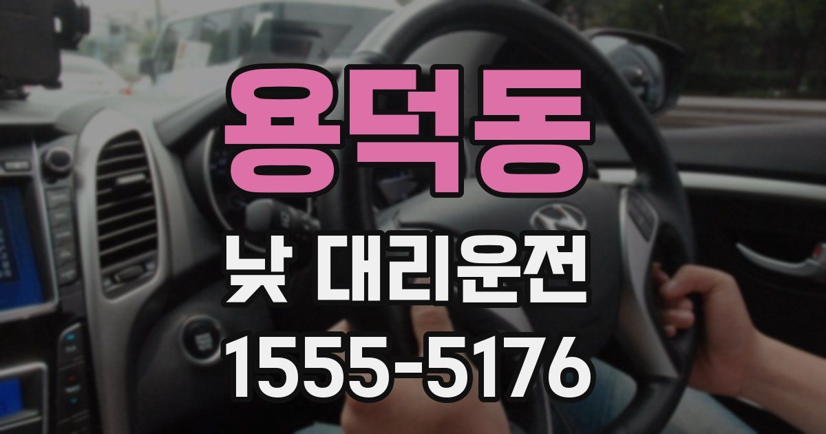 용덕동 낮 대리운전