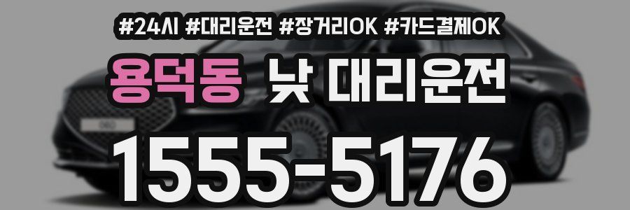 용덕동 낮 대리운전