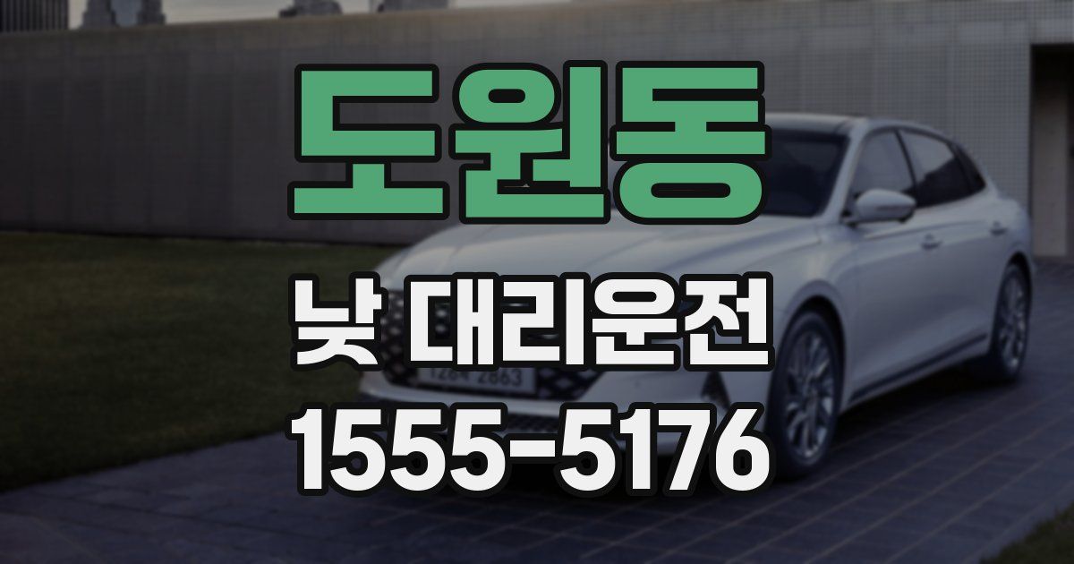 도원동 낮 대리운전