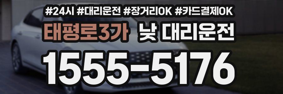 태평로3가 낮 대리운전