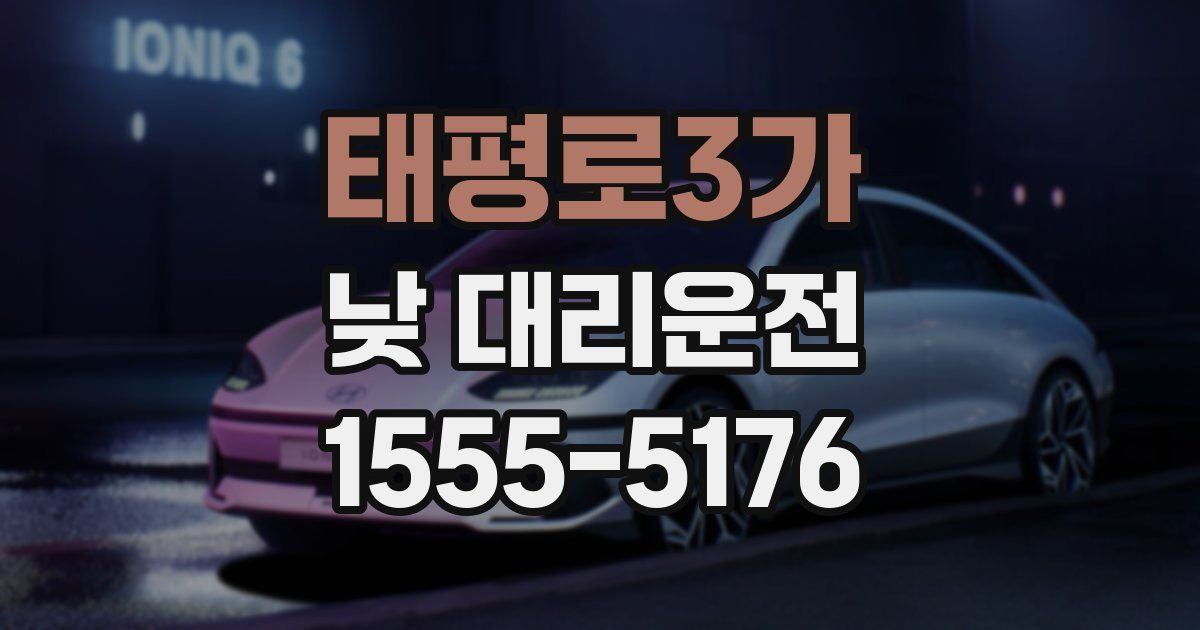 태평로3가 낮 대리운전