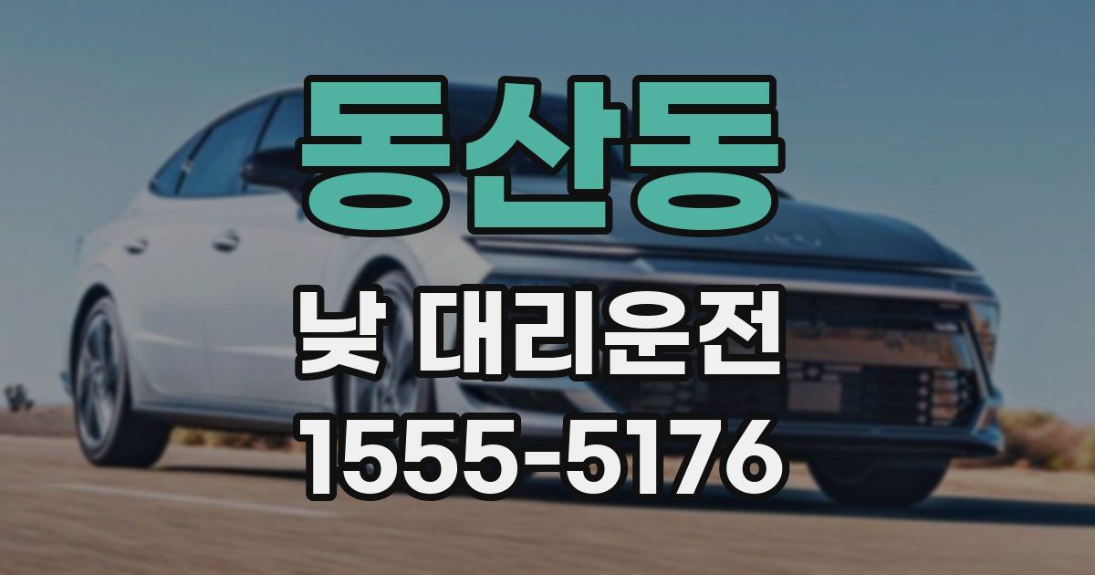 동산동 낮 대리운전