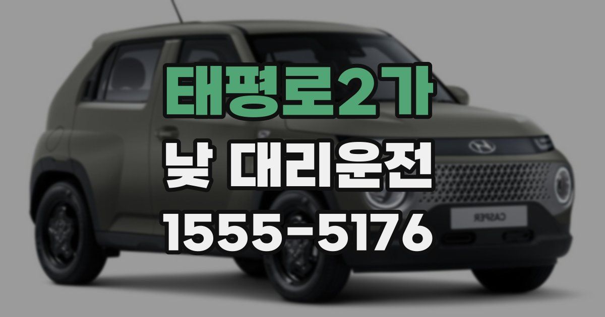 태평로2가 낮 대리운전