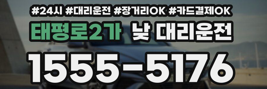 태평로2가 낮 대리운전