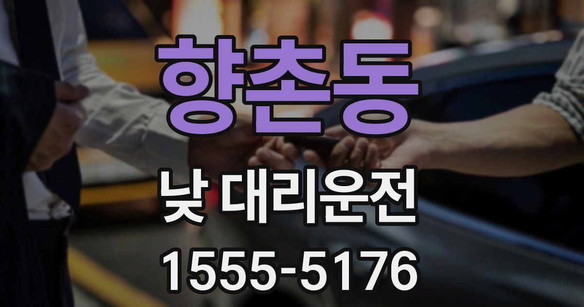 향촌동 낮 대리운전