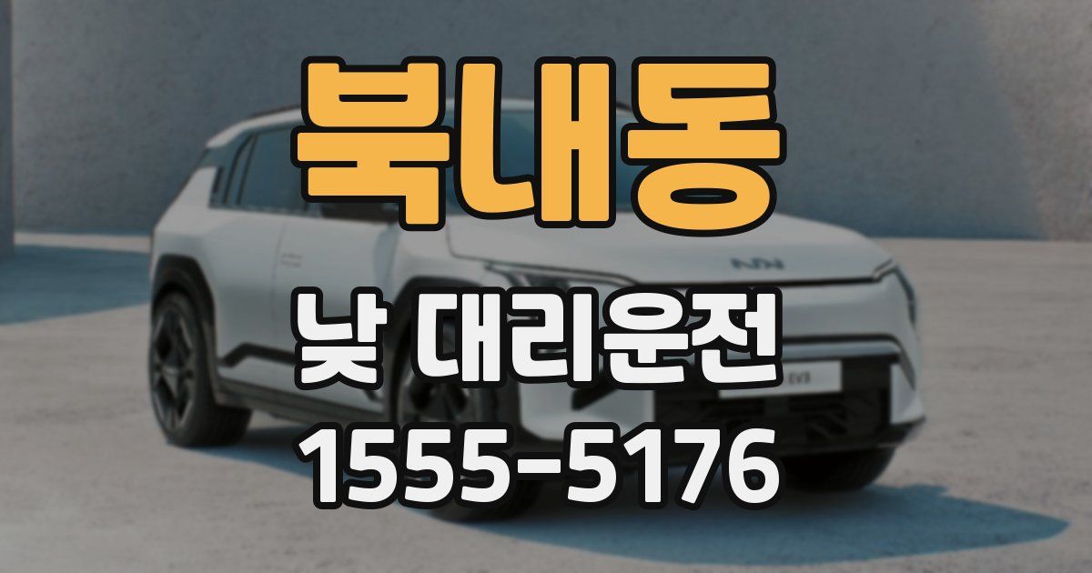 북내동 낮 대리운전