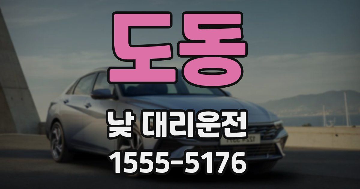 도동 낮 대리운전