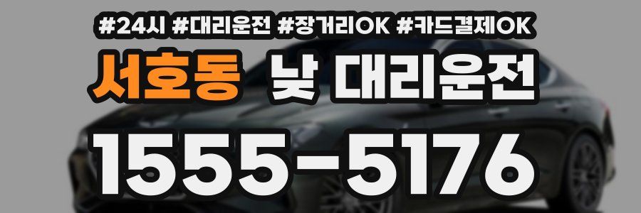 서호동 낮 대리운전
