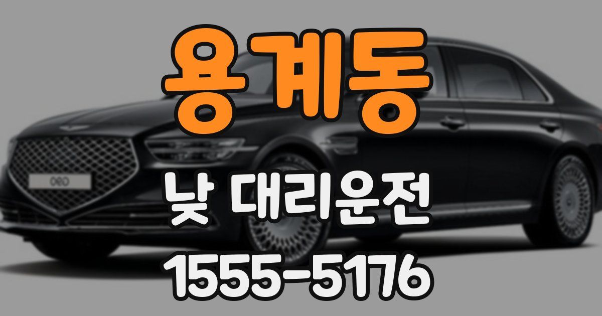 용계동 낮 대리운전