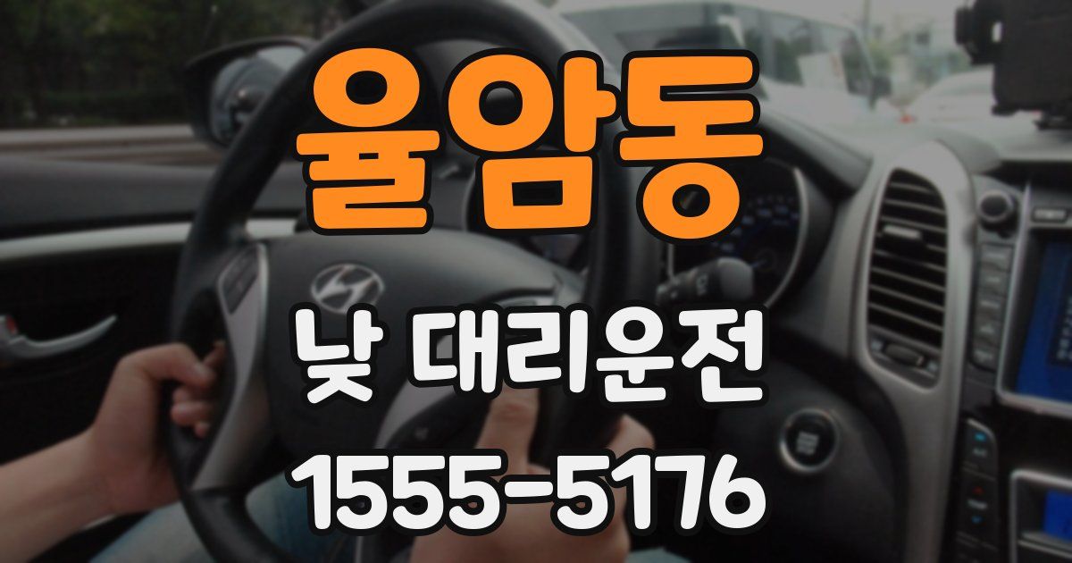 율암동 낮 대리운전