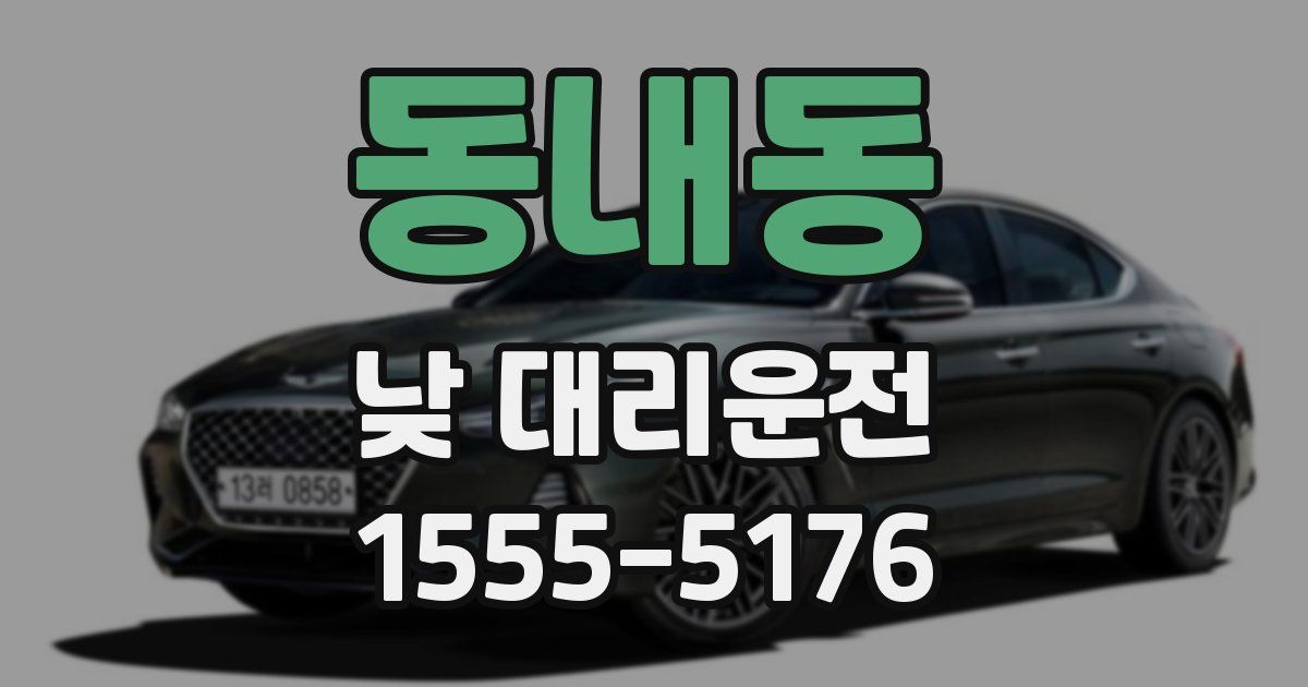 동내동 낮 대리운전