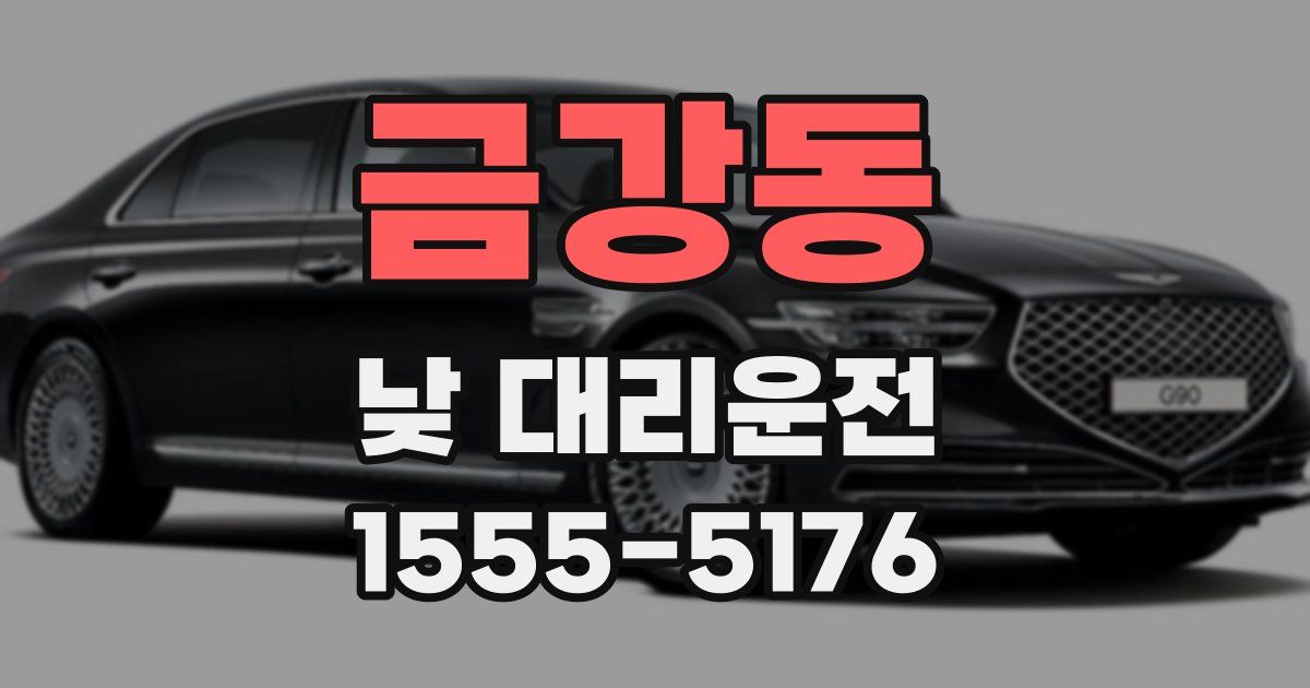 금강동 낮 대리운전