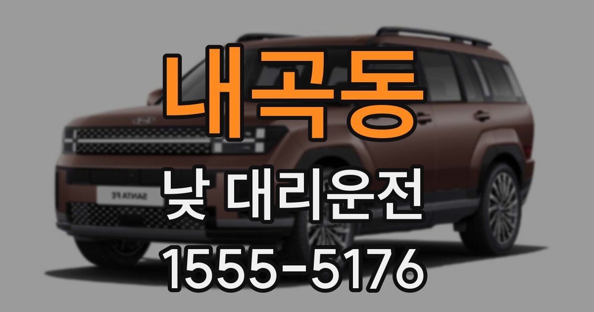 내곡동 낮 대리운전