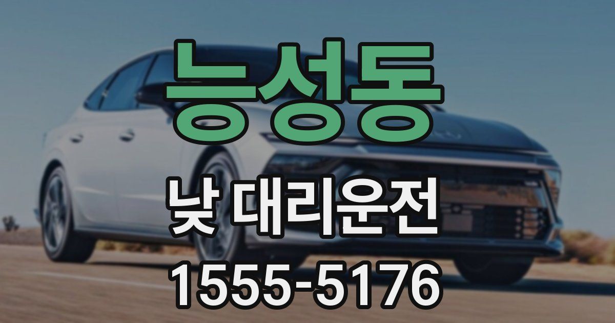 능성동 낮 대리운전