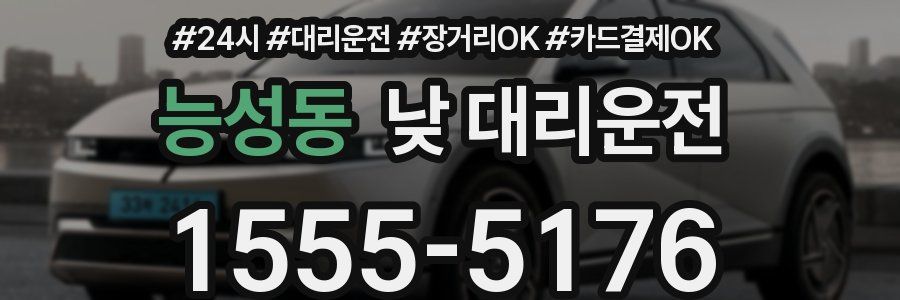 능성동 낮 대리운전