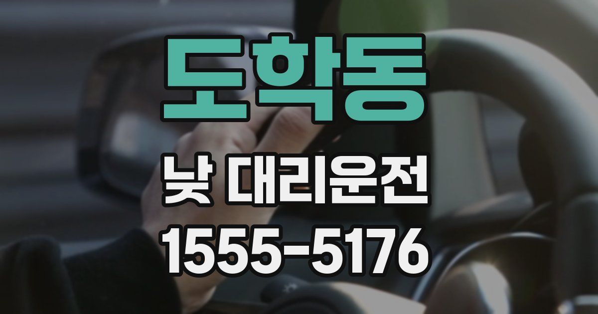 도학동 낮 대리운전