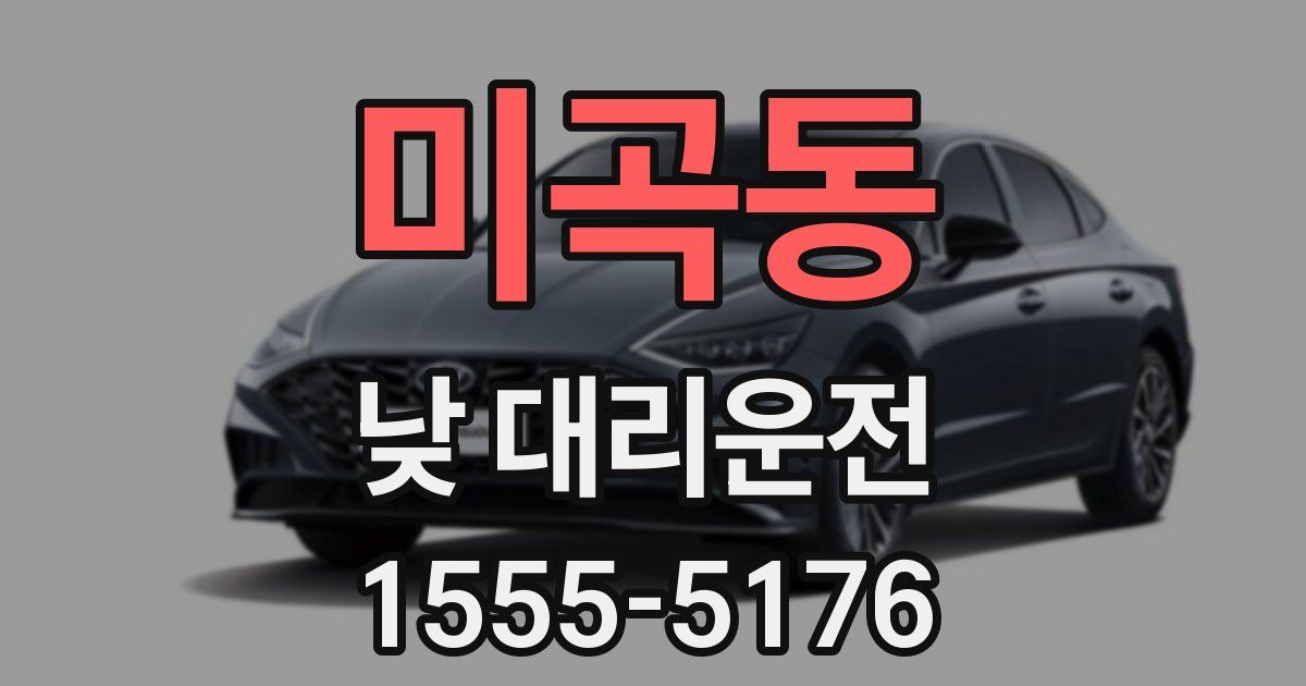 미곡동 낮 대리운전