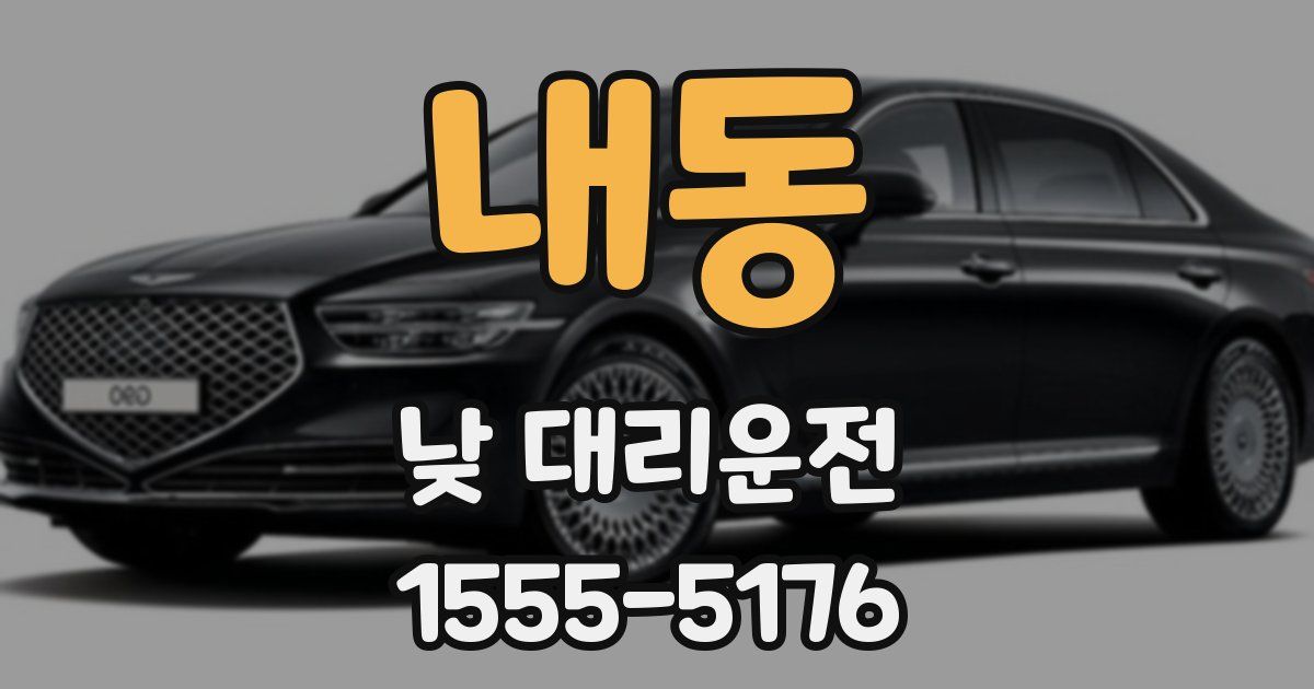 내동 낮 대리운전