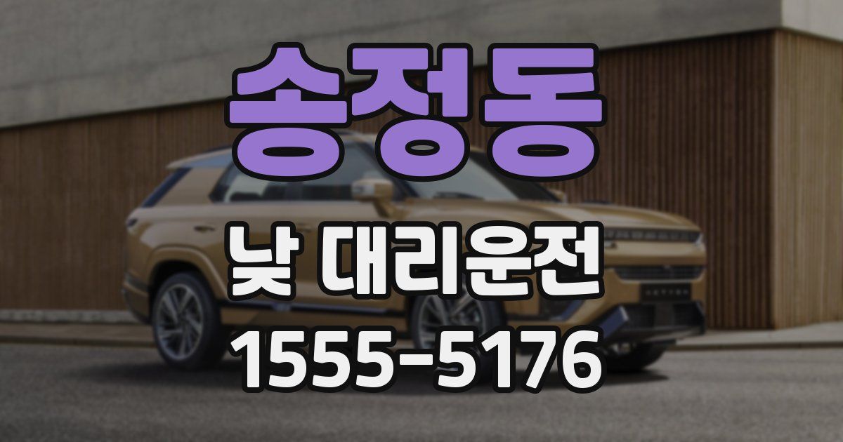 송정동 낮 대리운전