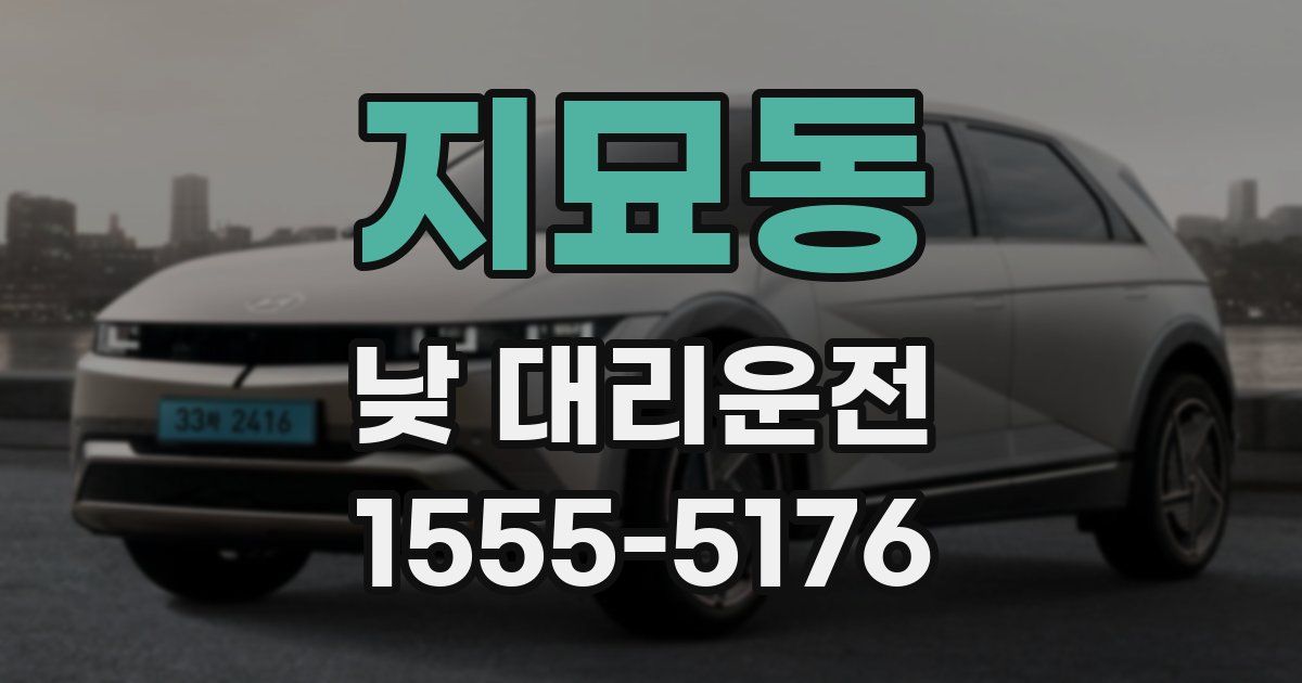 지묘동 낮 대리운전