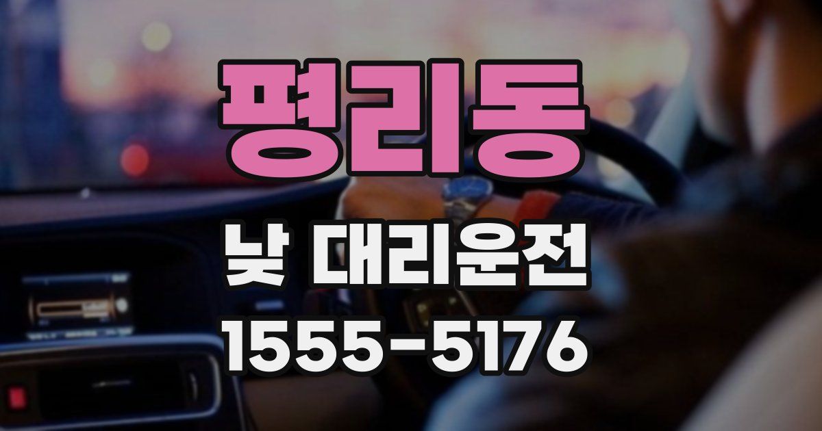 평리동 낮 대리운전
