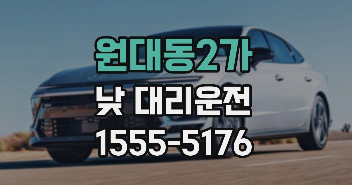 원대동2가 낮 대리운전