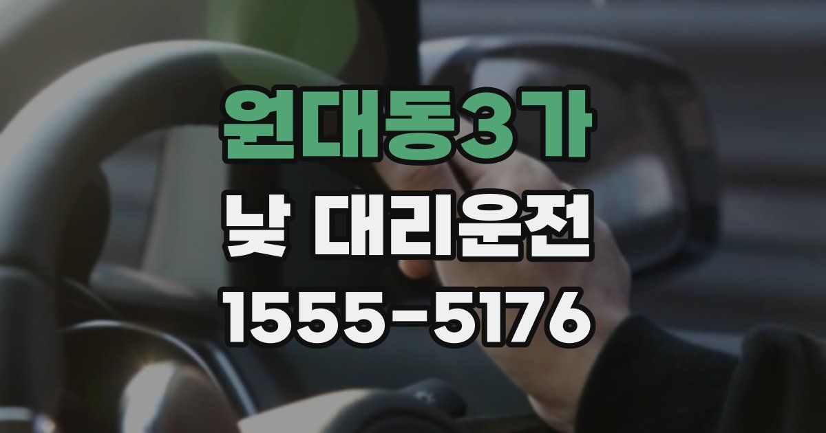 원대동3가 낮 대리운전