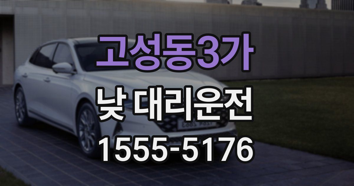 고성동3가 낮 대리운전