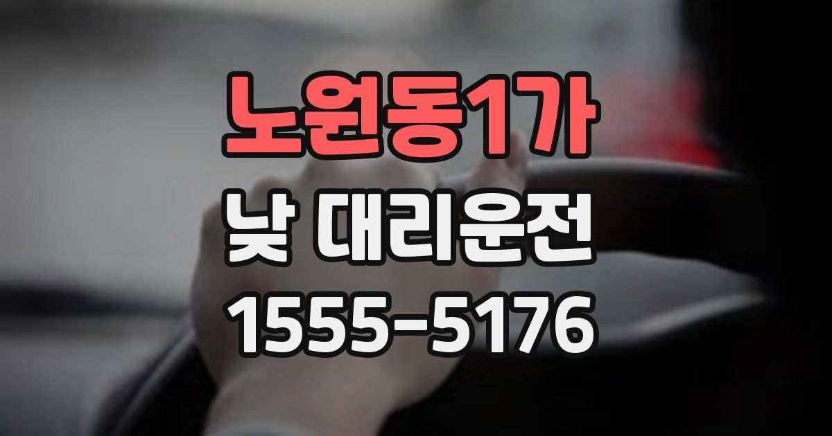 노원동1가 낮 대리운전