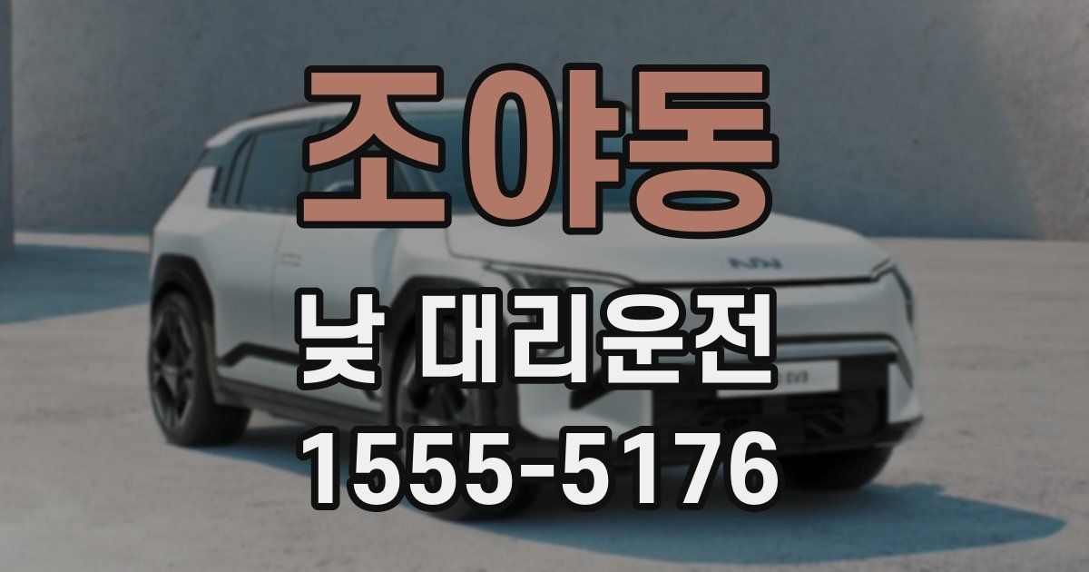 조야동 낮 대리운전