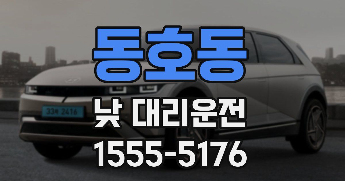 동호동 낮 대리운전