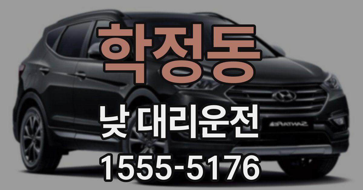 학정동 낮 대리운전