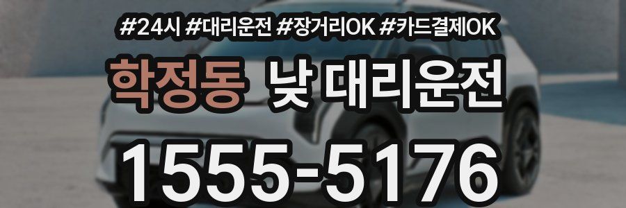 학정동 낮 대리운전