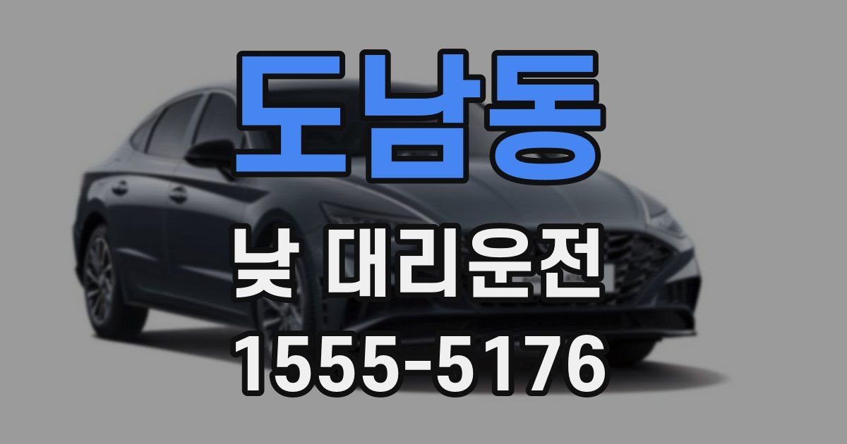 도남동 낮 대리운전