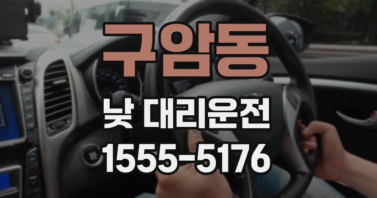 구암동 낮 대리운전