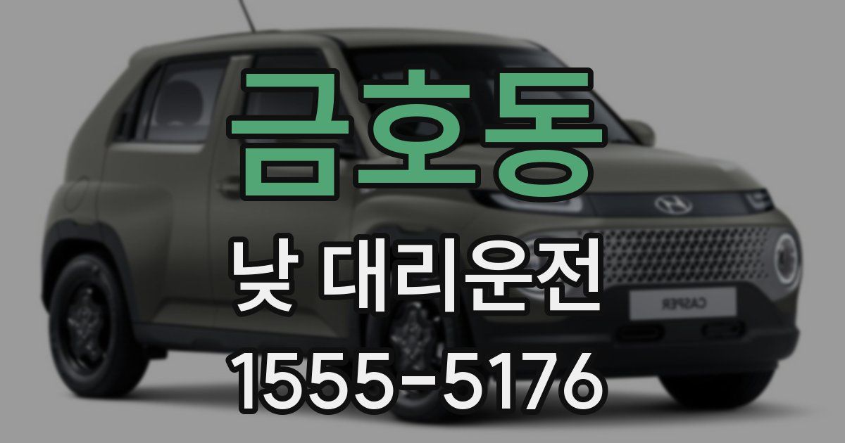 금호동 낮 대리운전