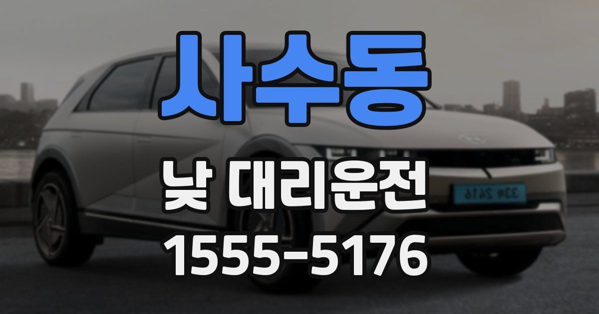 사수동 낮 대리운전