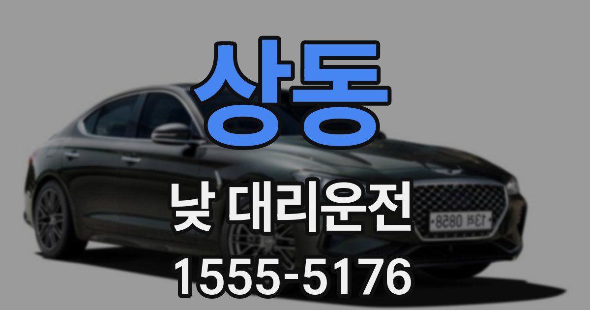 상동 낮 대리운전