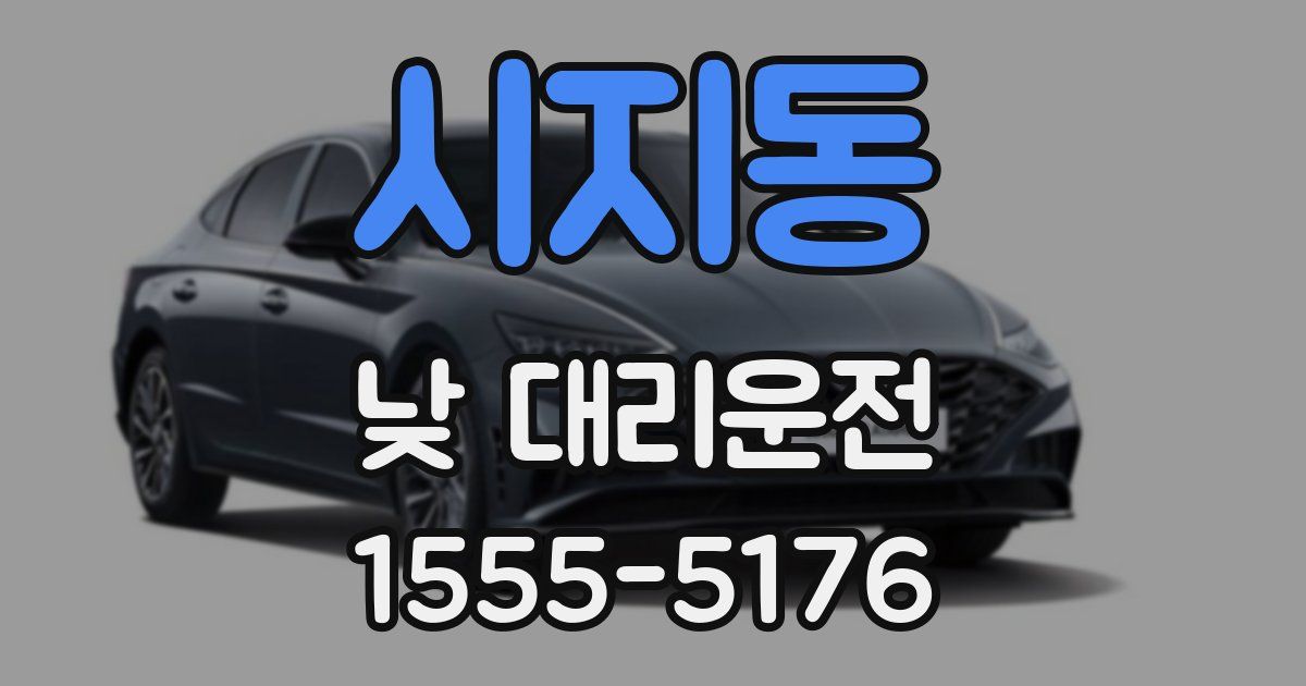 시지동 낮 대리운전
