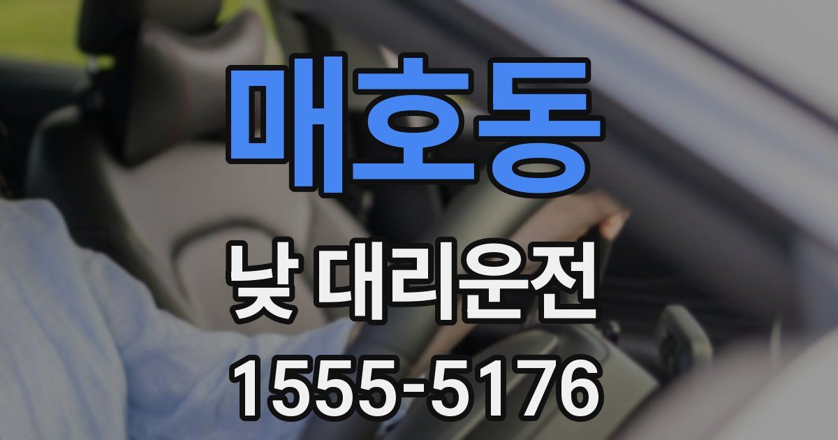 매호동 낮 대리운전