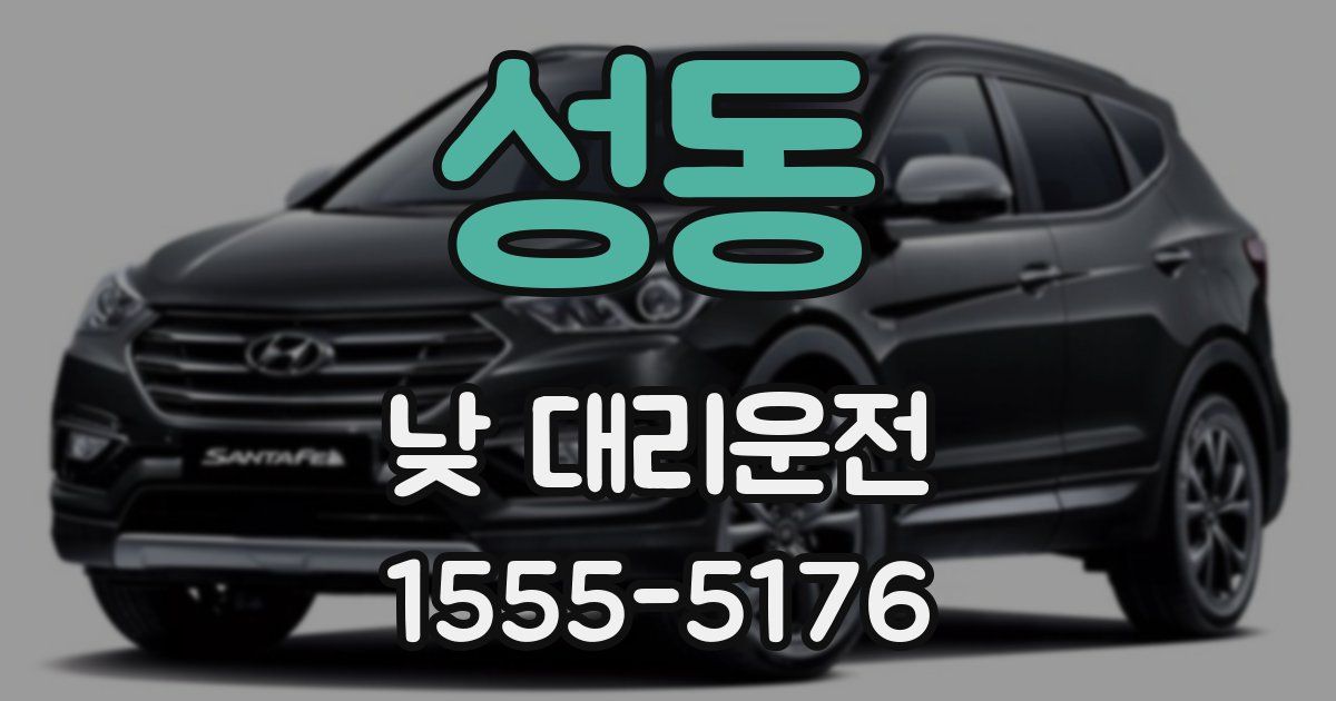 성동 낮 대리운전