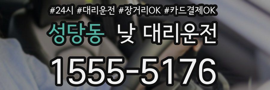 성당동 낮 대리운전